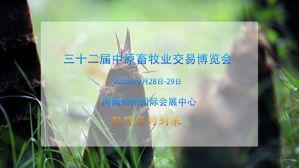 20200926֣.jpg